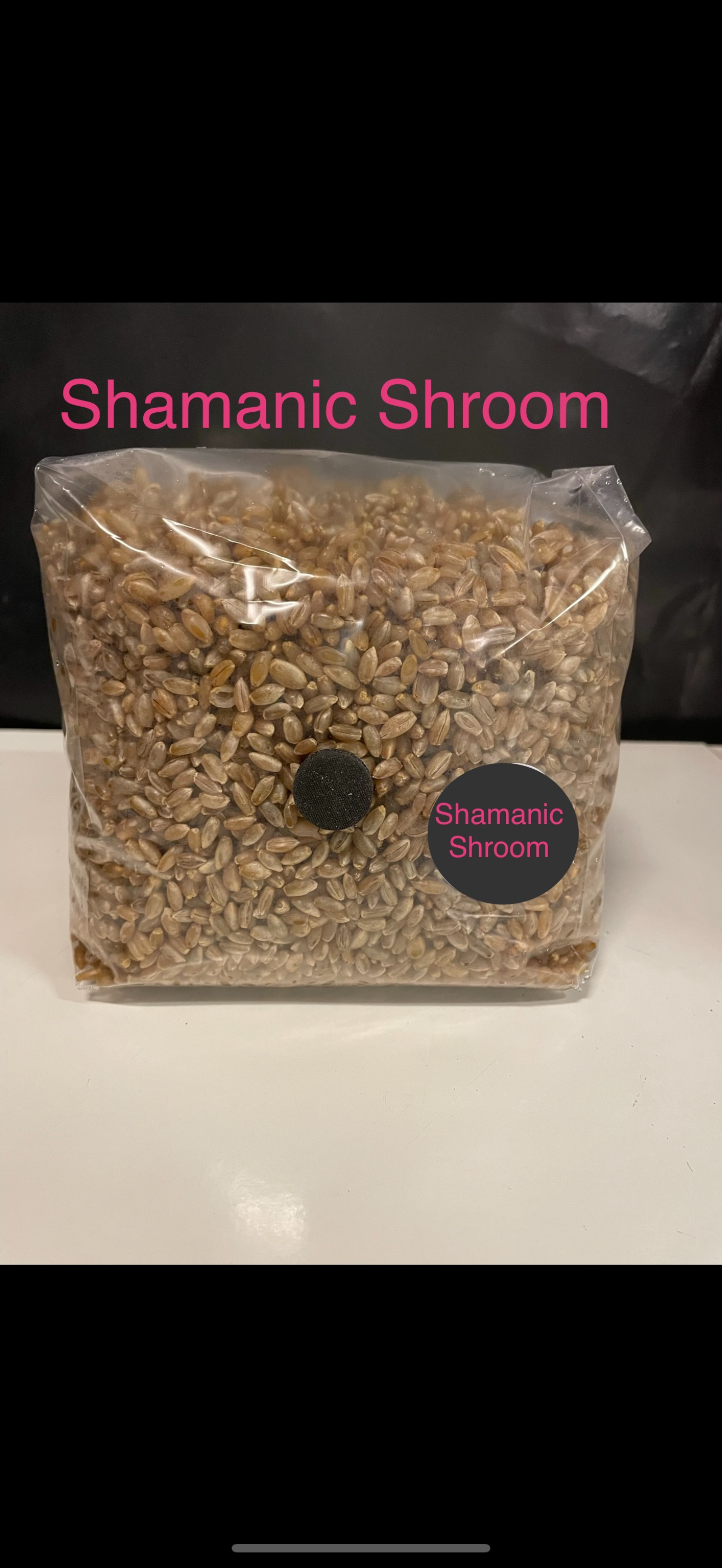 1.5kg Premium Organic Rye Grain hydrated & Sterilised grow bag