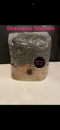 All-In-One Mushroom Grow Kit Grow Bag 2kg - Grain Coir Vermiculite Substrate