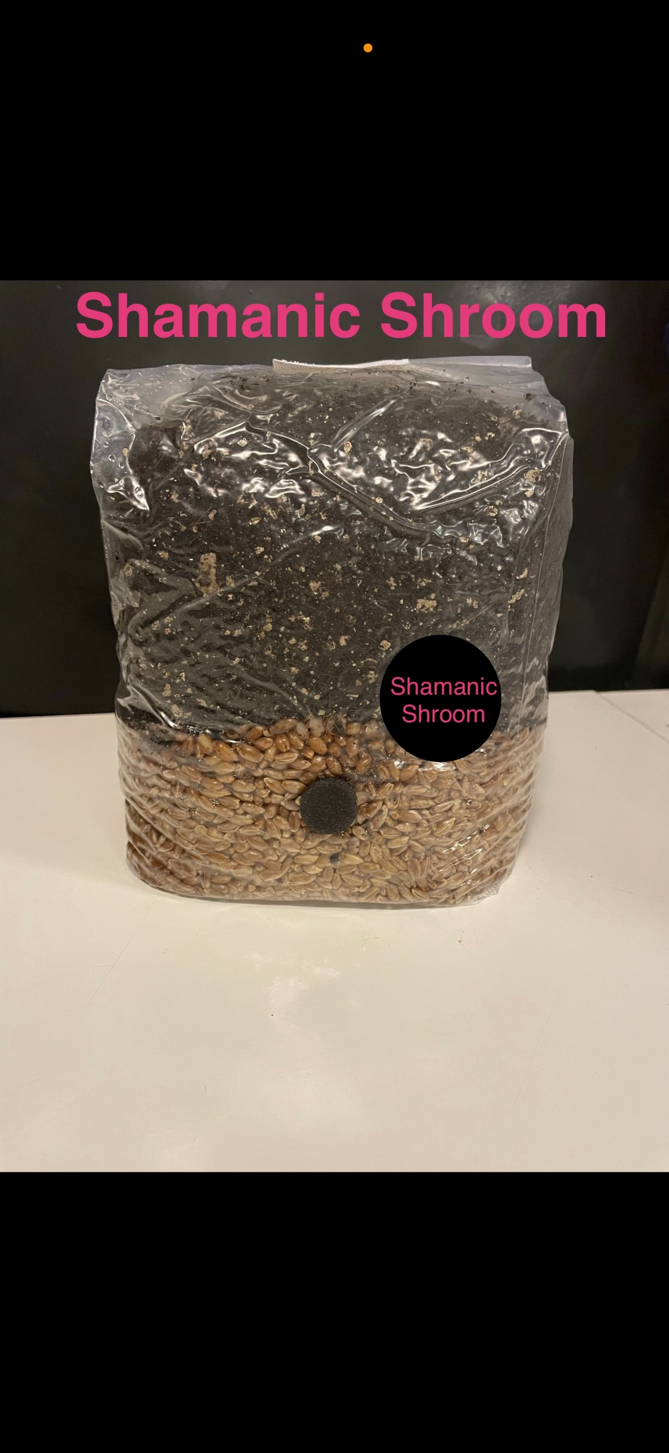 All-In-One Mushroom Grow Kit Grow Bag 2kg - Grain Coir Vermiculite Substrate