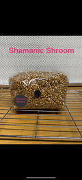 1.2kg Premium Organic Rye Grain hydrated & Sterilised grow bag