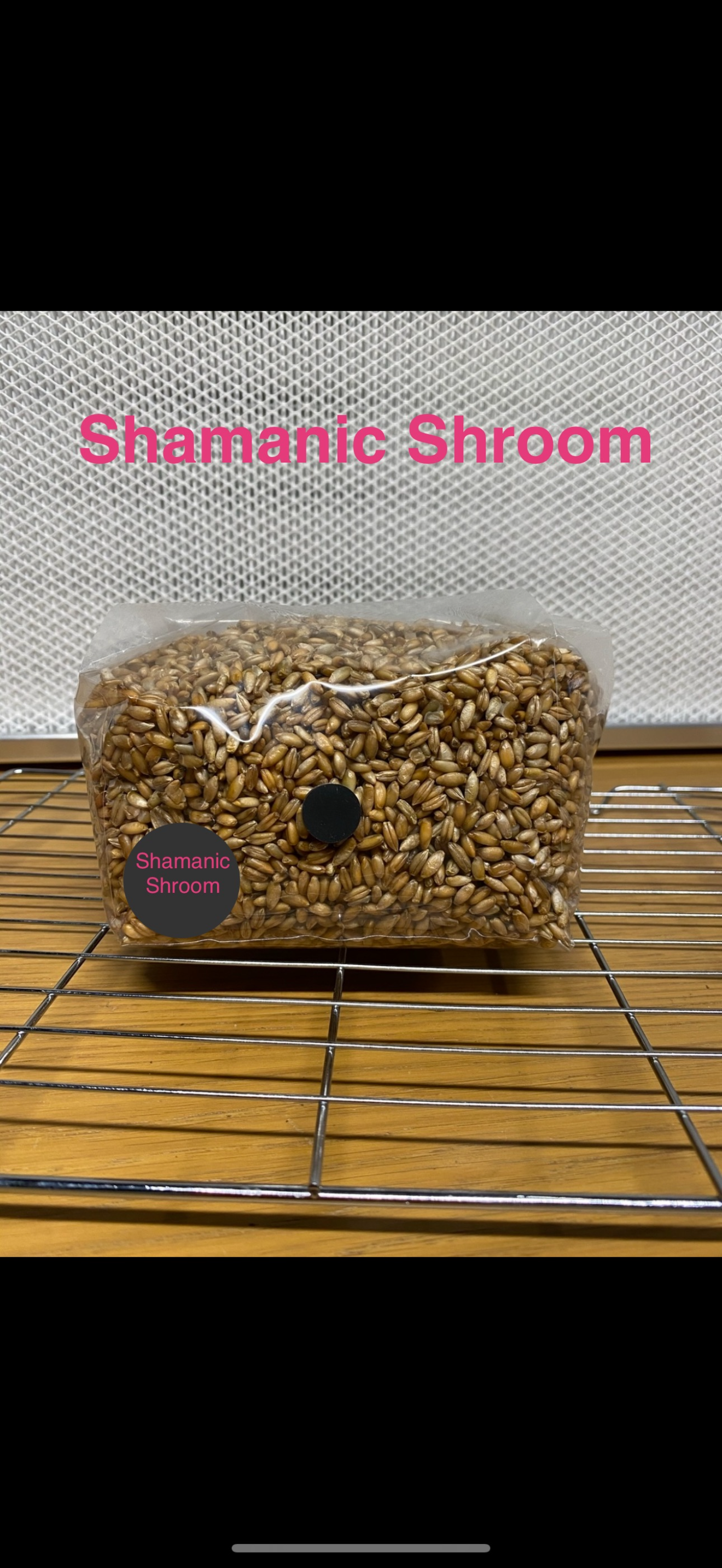 1.2kg Premium Organic Rye Grain hydrated & Sterilised grow bag