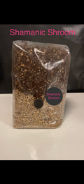 All-In-One Mushroom Grow Kit Grow Bag - 1kg Grain Substrate CVG