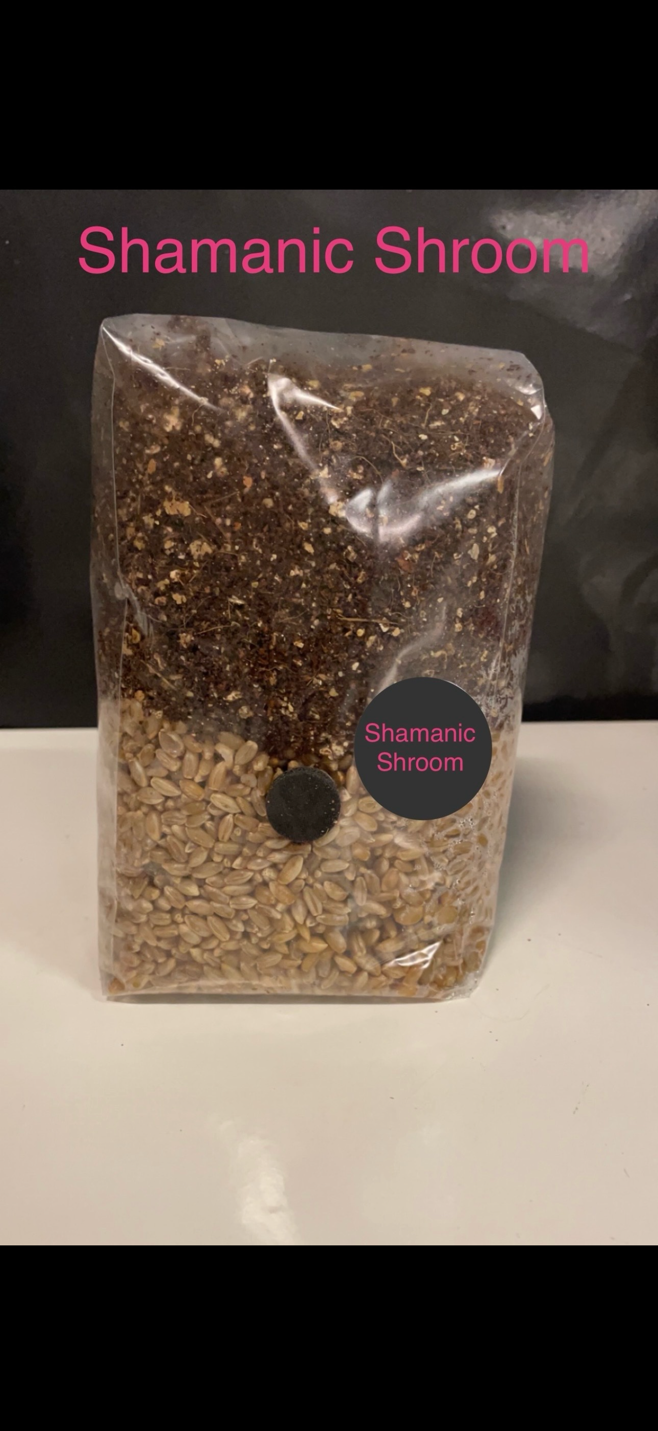 All-In-One Mushroom Grow Kit Grow Bag - 1kg Grain Substrate CVG
